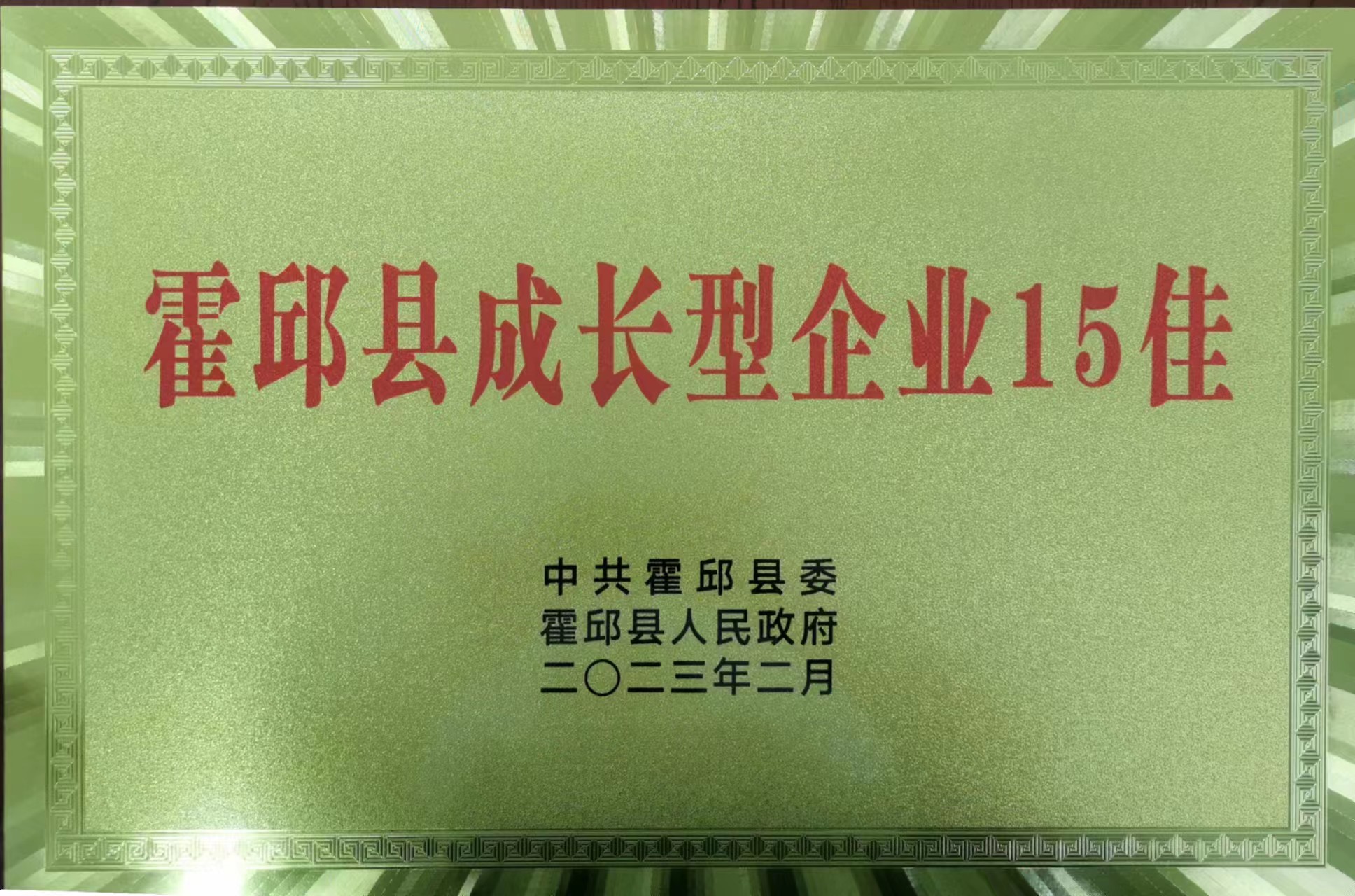 成长型企业.jpg